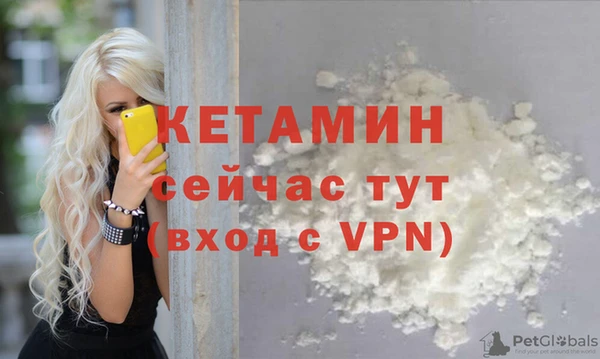 прущие грибы Белокуриха