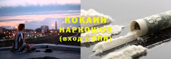 прущие грибы Белокуриха