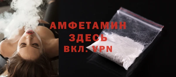 винт Ельня