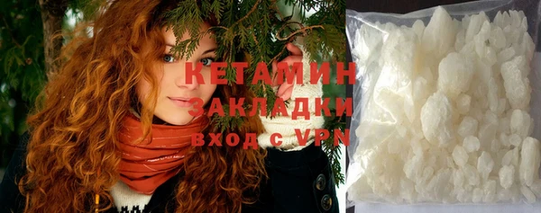 прущие грибы Белокуриха